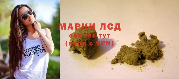 прущие крисы Горняк