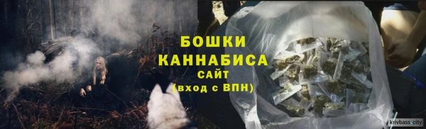 мдпв Горно-Алтайск