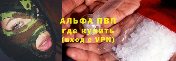 прущие крисы Горняк