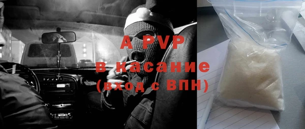 прущие крисы Горняк