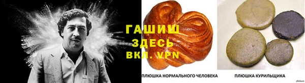 мдпв Горно-Алтайск
