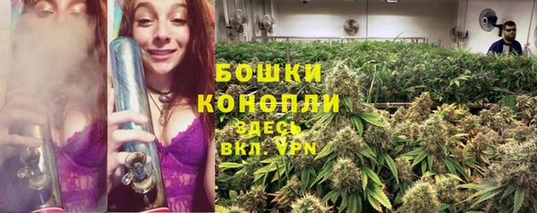 прущие крисы Горняк