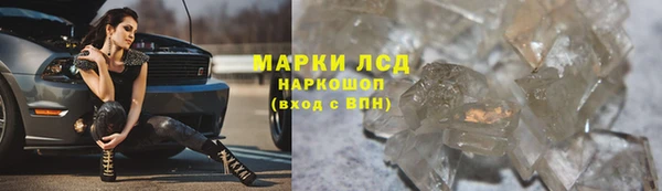 прущие крисы Горняк