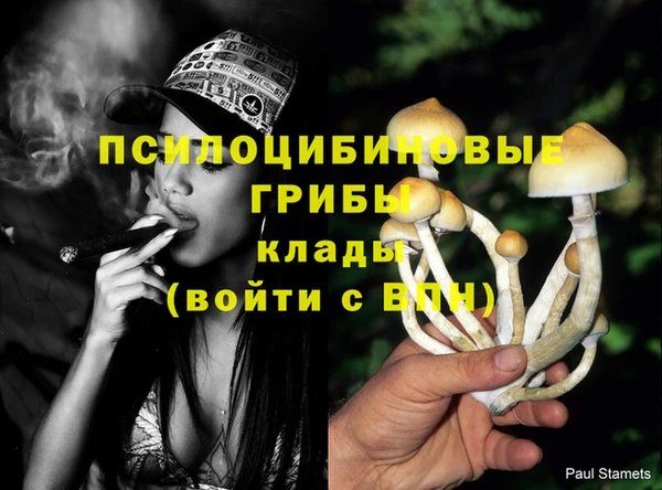 мдпв Горно-Алтайск