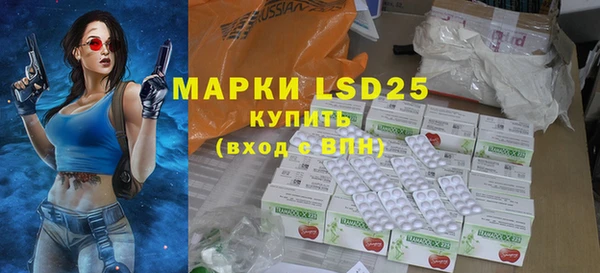 прущие крисы Горняк