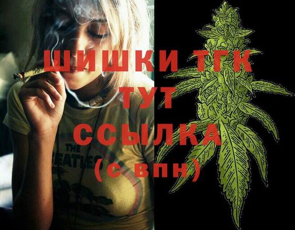 прущие крисы Горняк