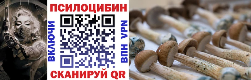 купить наркотик  Невинномысск  Галлюциногенные грибы Psilocybe 